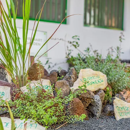 Club Del Carmen 4* Пуэрто дель Кармен