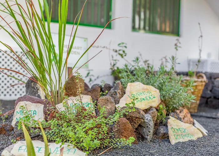 Club Del Carmen 4* פוארטו דל כרמן